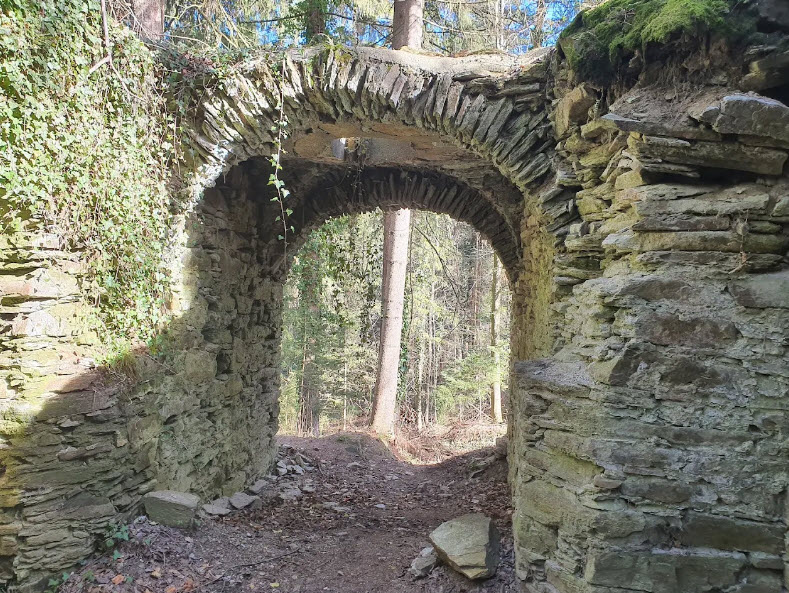 Ruine Neu-Leonroth, Sankt Martin am Wöllmißberg, Austria, Austria